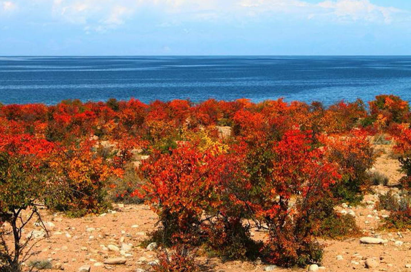 Autumn Tourism in Kyrgyzstan: A Journey Through Golden Mountains
