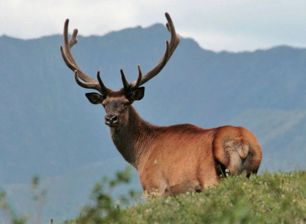 Bugu-Maral Wildlife Reserve and Nursery