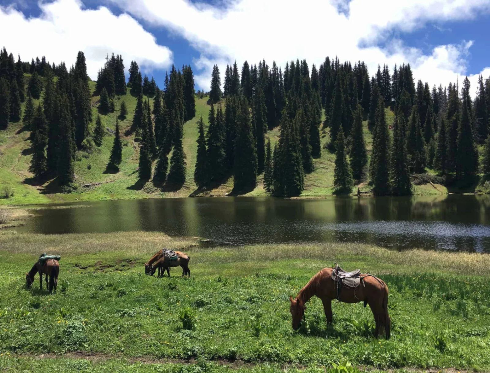 2-Day Horse Riding Adventure from Karakol to Jyrgalan
